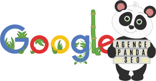 agence seo en france lyon